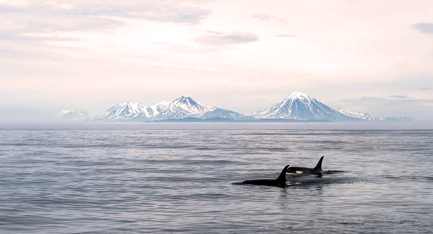 Contact Coastal Wellness and Counseling of Anchorage, Alaska.