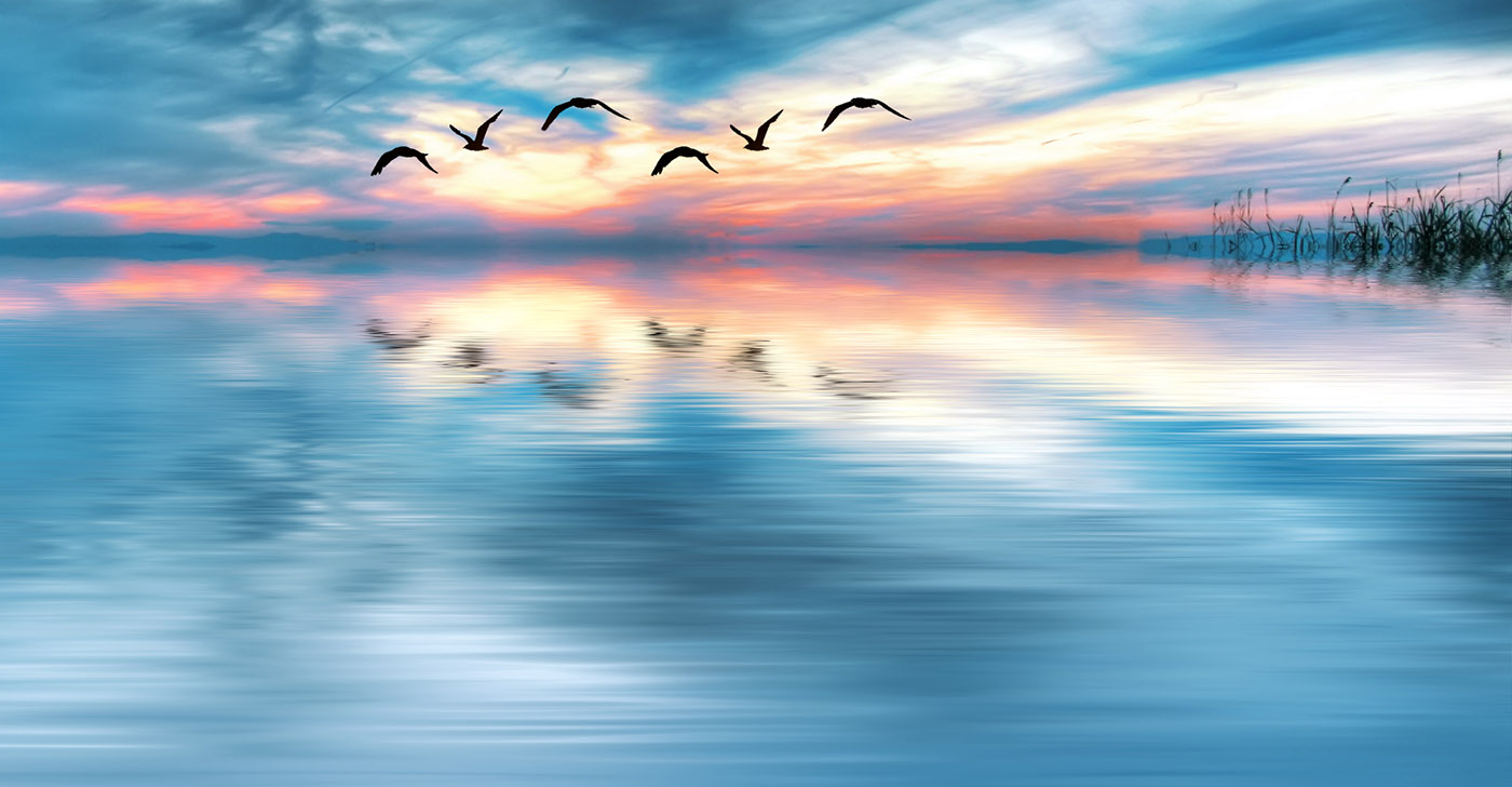 Meet our team of Anchorage counselors and personal therapists.