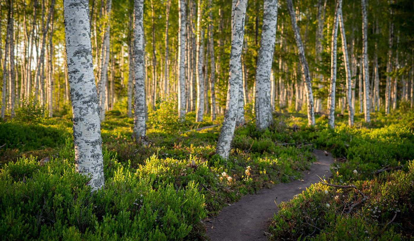 View our Anchorage counseling and personal therapy services.